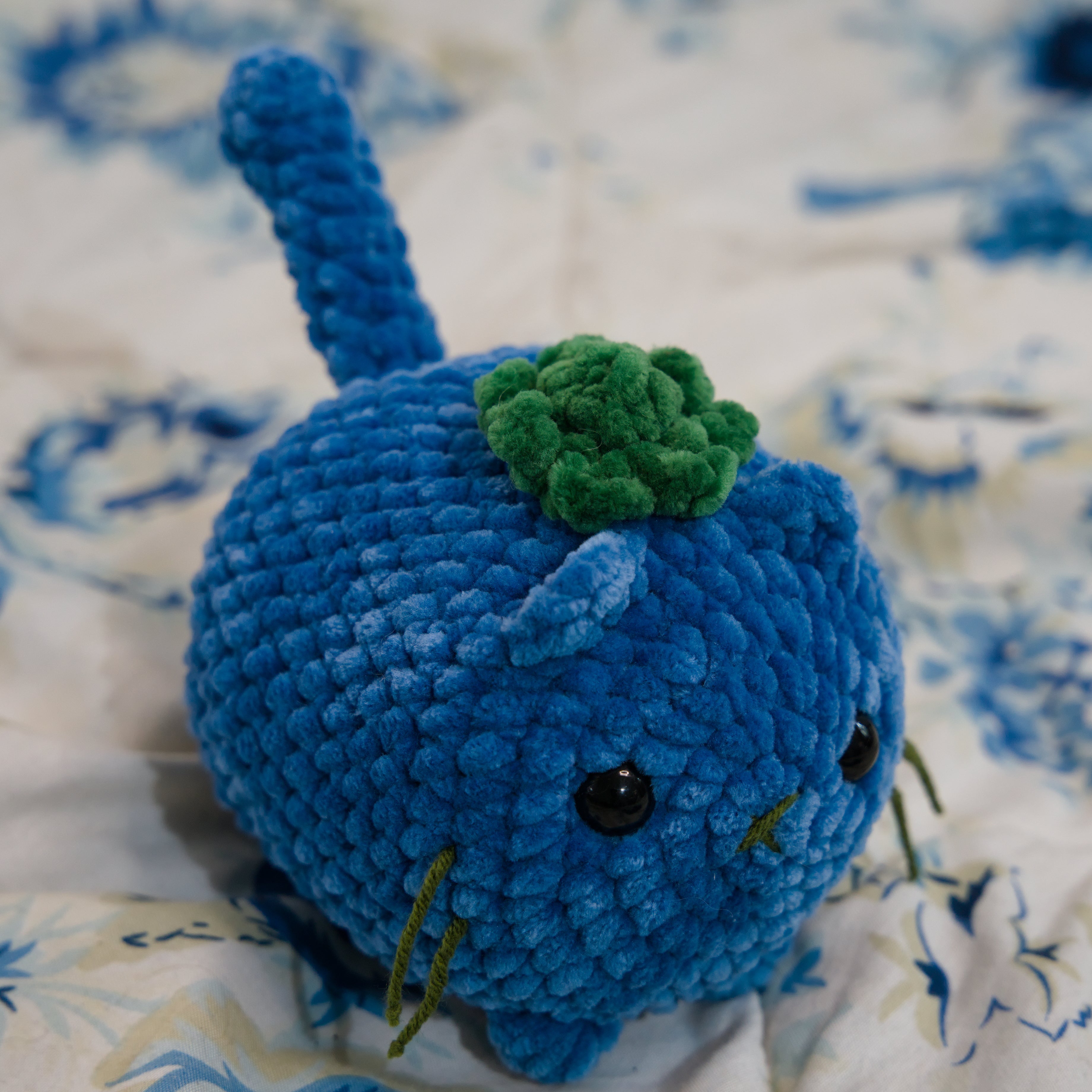 "Blueberry" Cat