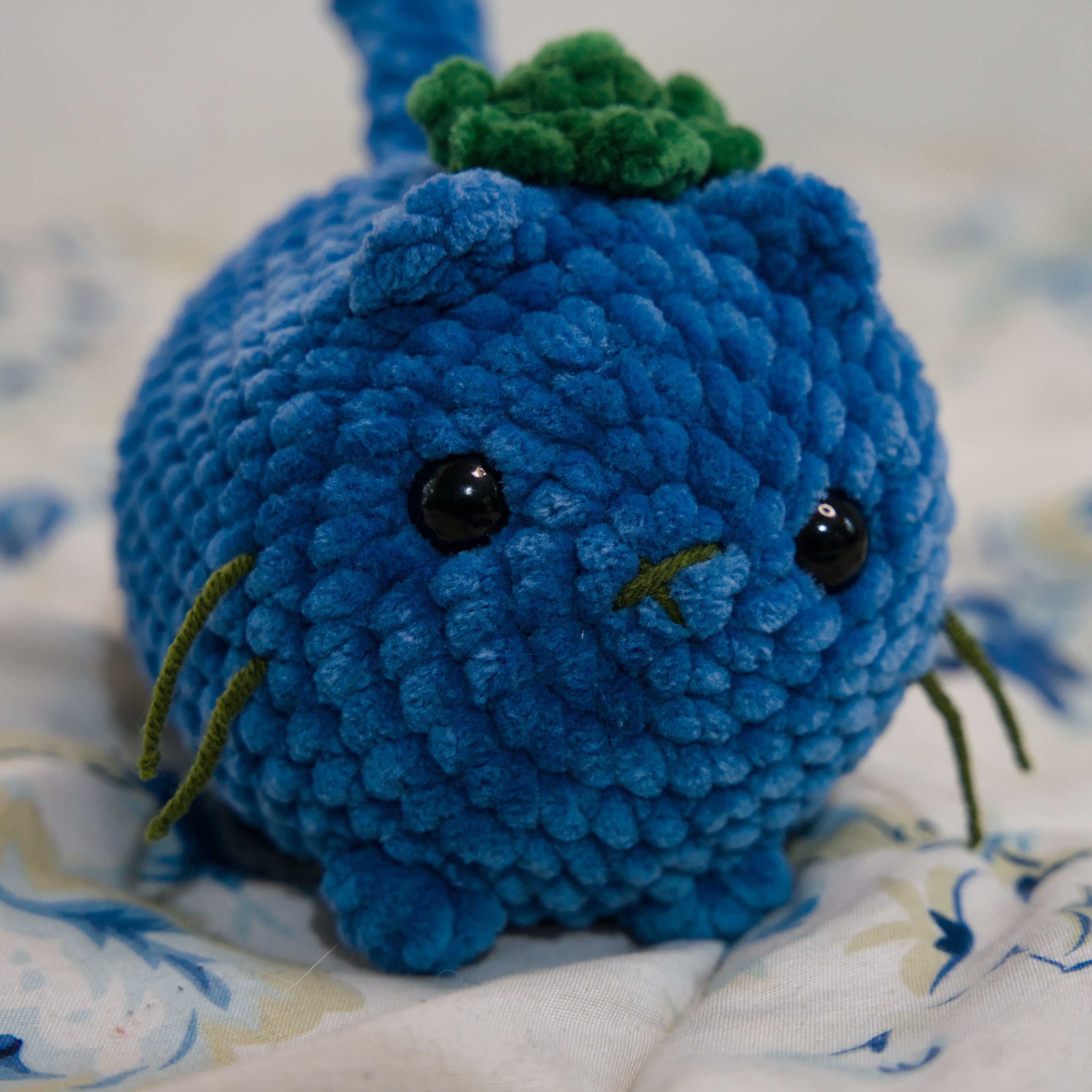 "Blueberry" Cat