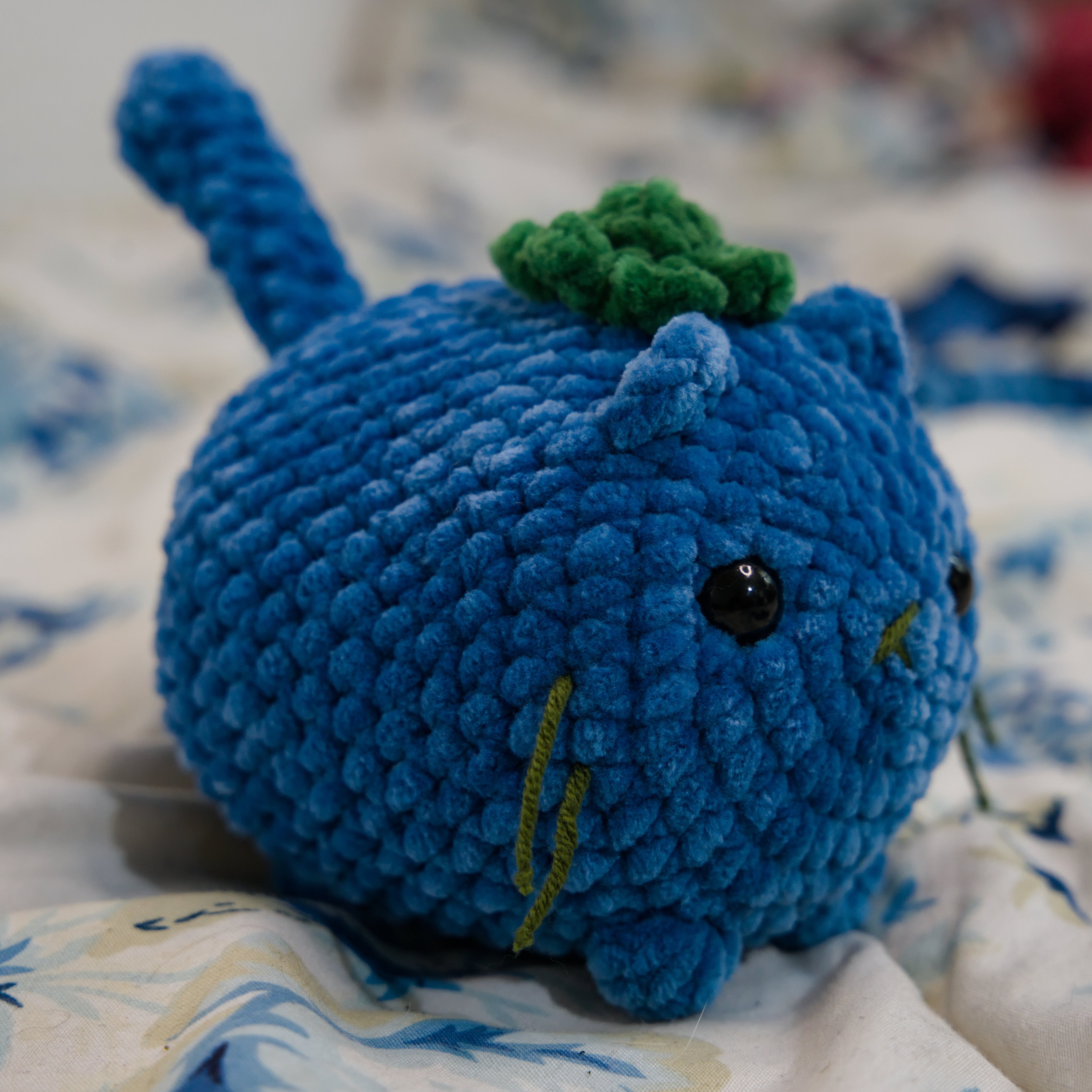 "Blueberry" Cat