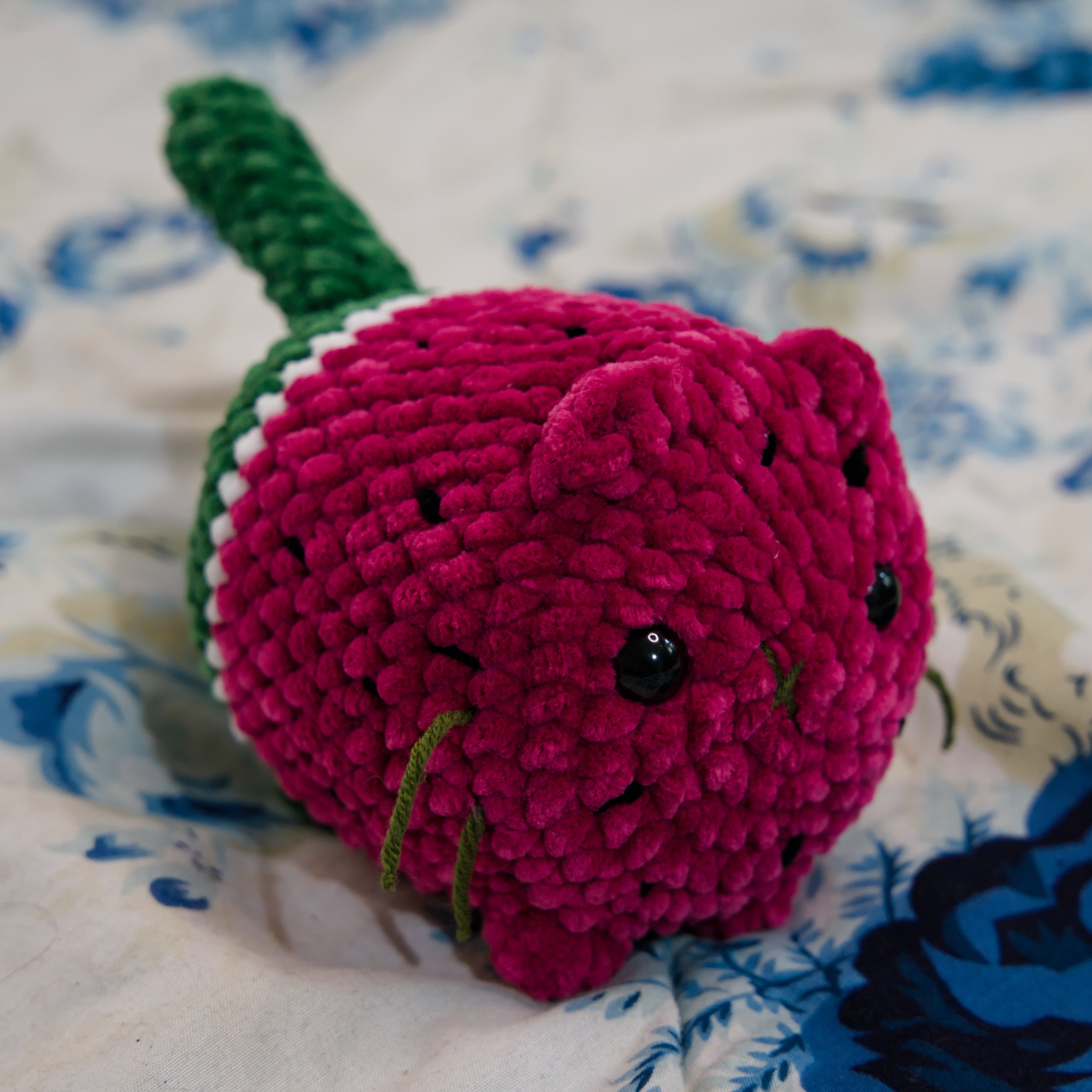 "Watermelon" Cat