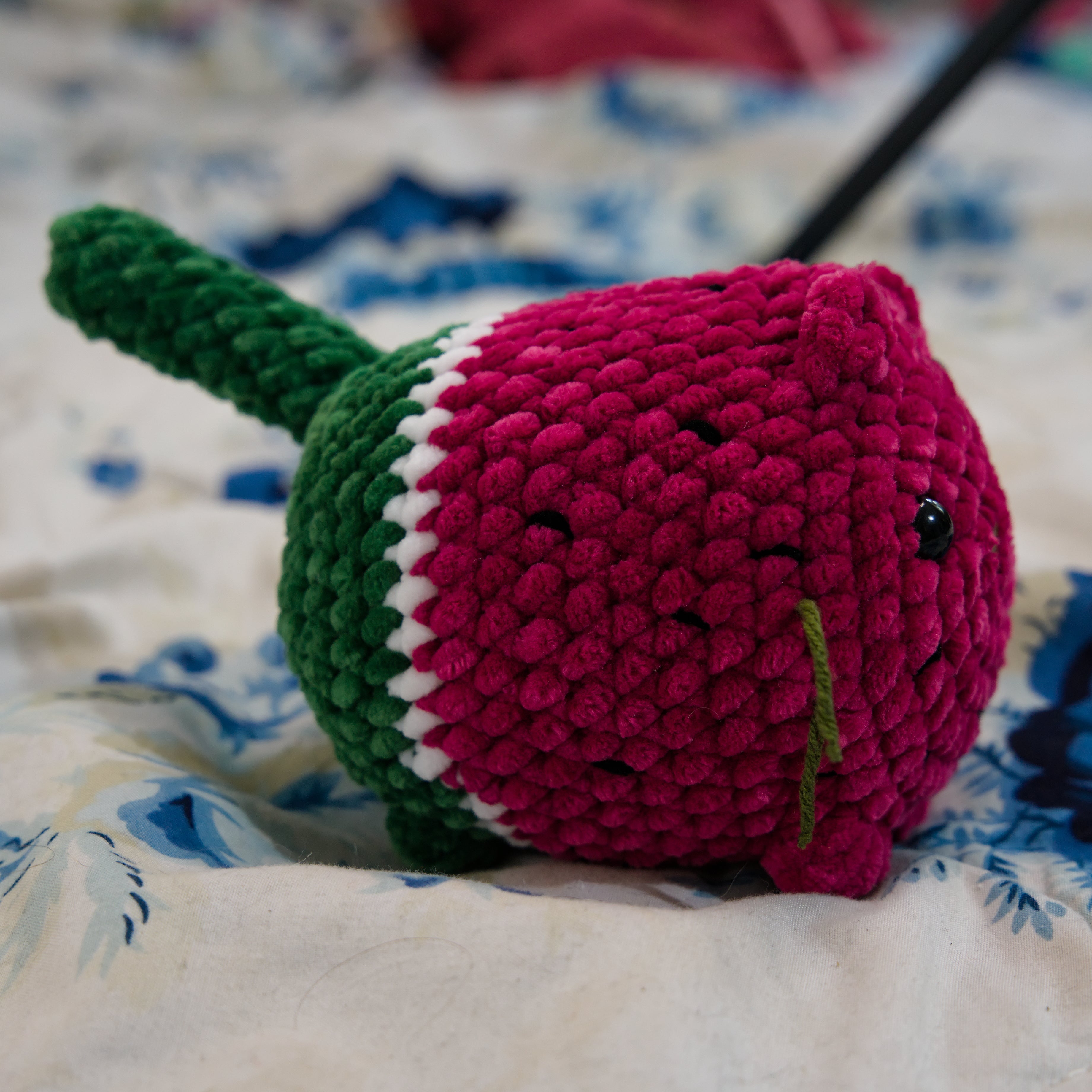 "Watermelon" Cat