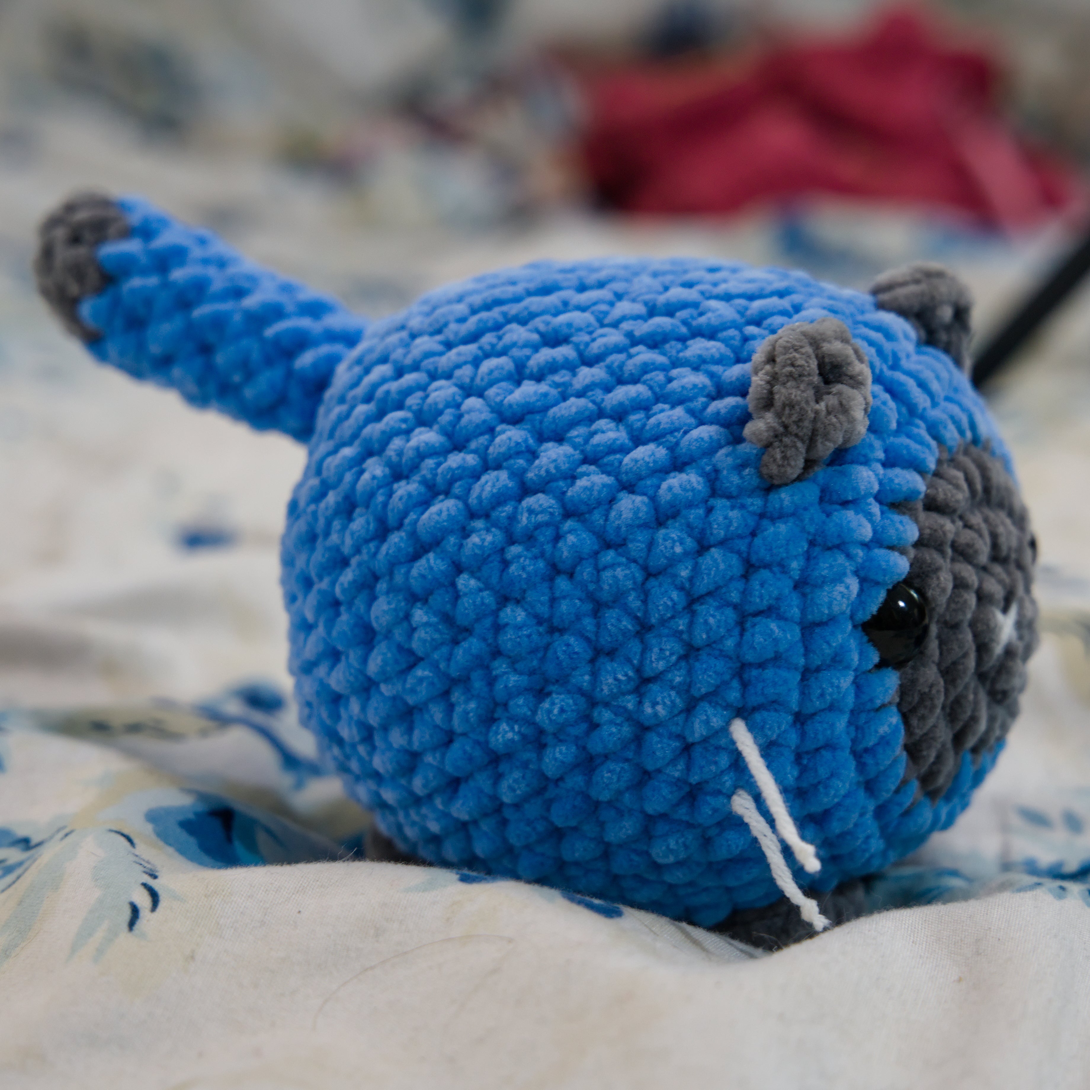 "Blue" Siamese Cat